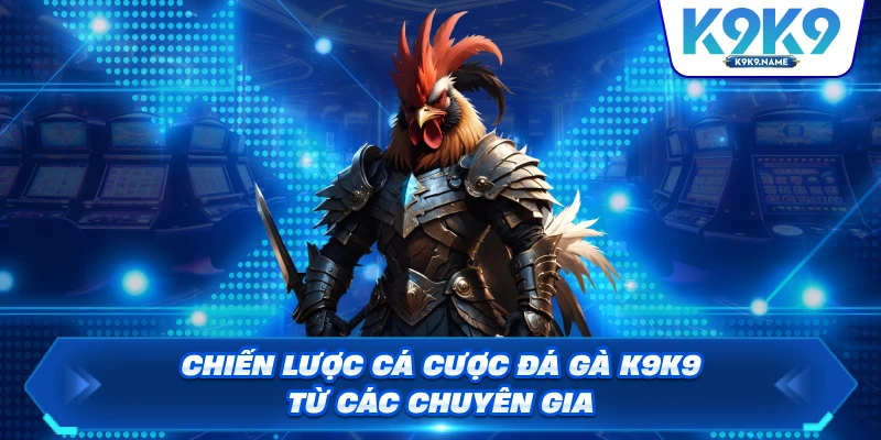 Chiến lược cá cược đá gà K9K9 từ các chuyên gia