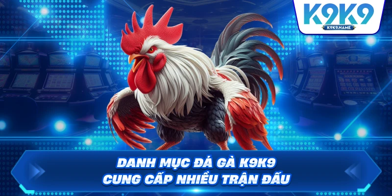 Danh mục đá gà K9K9 cung cấp nhiều trận đấu