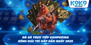 Đá Gà Trực Tiếp Campuchia – Kênh Giải Trí Hấp Dẫn Nhất 2025