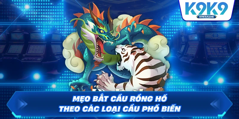 Mẹo bắt cầu Rồng Hổ theo các loại cầu phổ biến