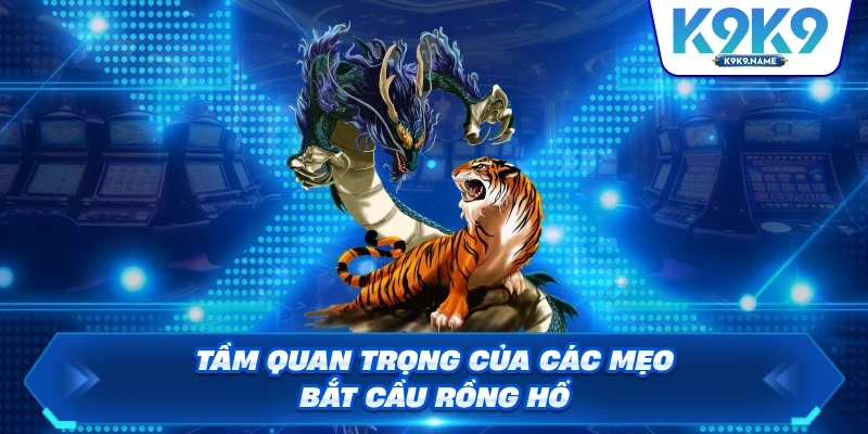 Tầm quan trọng của các mẹo bắt cầu Rồng Hổ