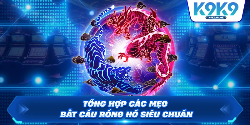 Tổng hợp các mẹo bắt cầu Rồng Hổ siêu chuẩn