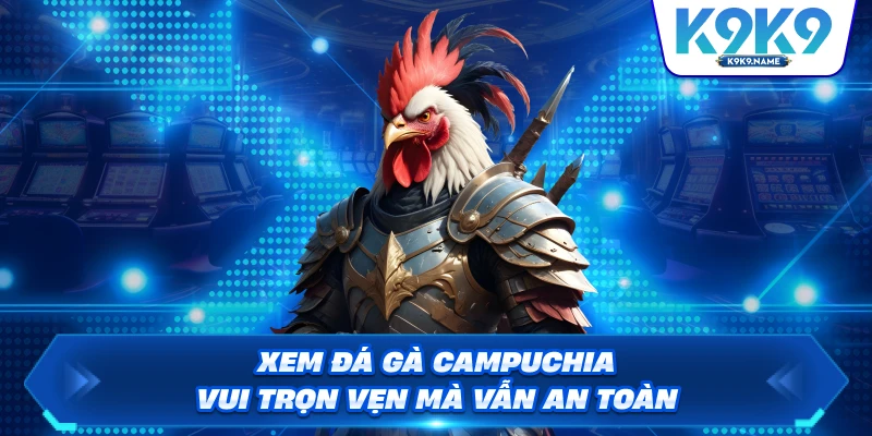 Xem đá gà Campuchia vui trọn vẹn mà vẫn an toàn